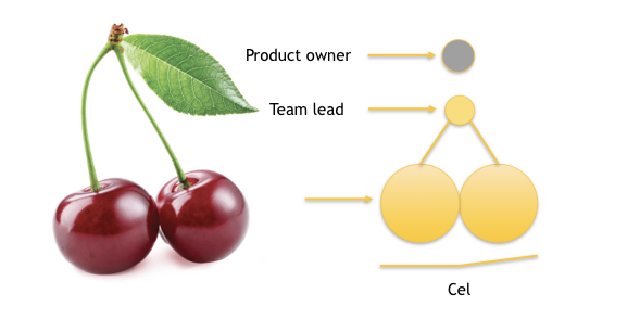 Picture of a cherry and a cell